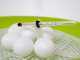 FIEM Smart Digital 24 Green - Automatic egg incubator