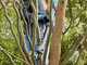 GARDENA EasyCut 110/18V P4A Electric Pruning Shears on Extension Pole - 18V 2Ah - 28mm Cutting diameter