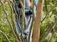 GARDENA EasyCut 110/18V P4A Electric Pruning Shears on Extension Pole - 2Ah