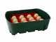 River Systems ET 12 - Manual egg incubator
