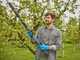 GARDENA HighCut 250/18V Battery-Powered Pruning Shears on Extension Pole - 2 Ah