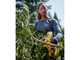 DEWALT DCMPP568P1-QW Battery-Powered Pruning Shears - 18V 5.0Ah Battery