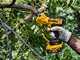 DEWALT DCMPP568P1-QW Battery-Powered Pruning Shears - 18V 5.0Ah Battery
