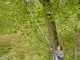 Gardena HighCut 360/18V - Electric Pruning Shear on Pole - 28mm Cutting diameter - WITHOUT BATTERY AND CHARGER