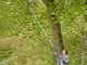 Gardena HighCut 360/18V P4A - Electric Pruning Shear on Pole - 18V 2Ah