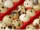 River Systems ET 24 - Automatic Egg Incubator