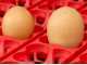 River Systems ET 24 - Automatic Egg Incubator