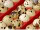 River Systems ET 24 - Manual egg incubator