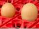 River Systems ET 24 - Manual egg incubator