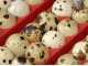 River Systems ET 24 BIOMASTER - Automatic Egg Incubator