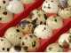 River Systems ET 49 BIOMASTER - Automatic Egg Incubator