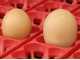 River Systems ET 49 BIOMASTER - Automatic Egg Incubator
