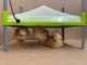 River Systems CALEO 700 Heating Plate