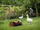 Worx Landroid Vision M600 WR206E - Robot Lawn Mower - No installation