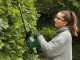 BOSCH EasyHedgeCut 18V-52-13 Battery-Powered Hedge Trimmer - BATTERY AND BATTERY CHARGER NOT INCLUDED
