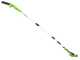 Greenworks G40PSFK2 - Battery backpack pruner on extension pole - Battery 40V 2Ah