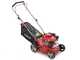 Castelgarden PTX 210 HD Riding-on Mower - Hydrostatic Transmission - Grass Collector