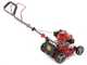 Castelgarden PTX 210 HD Riding-on Mower - Hydrostatic Transmission - Grass Collector