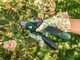 Bosch EasyPrune AssistCut - Electric Pruning Shears - 3.6V 1.6Ah - 25mm Cutting diameter