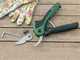 Bosch EasyPrune AssistCut - Electric Pruning Shears - 3.6V 1.6Ah