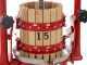 Baesso F15 - 6 L Screw Press for Fruits and Vegetables - Wooden Tank 