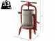 Baesso F25 Inox - 20 L Screw Press for Fruits and Vegetables - Stainless Steel Tank 