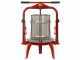Baesso F25 Inox - 20 L Screw Press for Fruits and Vegetables - Stainless Steel Tank 