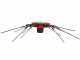 Aima Duetto Performance - Electric Battery-powered Olive Harvester - 235-288 cm Pole