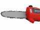 Einhell GC-CE 7520 T Electric Pruner with  Telescopic Pole