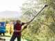 Brumi Ghibli 12V - Electric Battery-powered Olive Harvester - 235/315 cm Carbon Pole