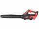 Blue Bird BL 22-300 - Battery-powered Leaf Blower - 21V 5Ah