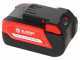 Blue Bird BS 22-400 - Battery-powered Hand-held Sprayer/ Mist Blower - 21V 5 Ah