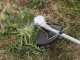 Bosch Advanced BrushCut 36V 23-750- Battery-powered Brush Cutter - 2Ah