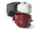 Ceccato Tritone BIG - Petrol garden Shredder - Honda GX390 engine, electric start