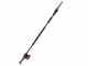 Blue Bird PCS 22-10 - Battery-powered Pruner on Telescopic Pole - 2 x 21V - 5Ah