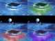 Solar Floating Light - Intex