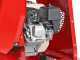 Ceccato Olindo Honda GP160 - Petrol log saw - Circular trestle saw