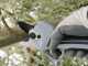 Volpi KV360 - Electric pruning shear - 32mm Cutting diameter - WITHOUT BATTERY AND BATTERY CHARGER
