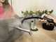 Karcher SC2 EasyFix EU - Steam cleaner - 2 levels of steam regulation - Power 1500 W