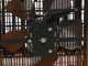 Master B 5 EPB - Three-phase Electric Heater with Fan - Hot Air Generator