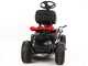 Troy-Bilt TB 60T-S SELECT - Riding-on Mower - with Side Discharge - 196cc Engine - Electric Start