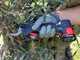 Zanon ZM 34 Electric Pruning Shears - 2x 14,4V 2.5Ah - 35mm Cutting diameter