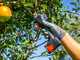 Zanon ZM 34 Electric Pruning Shears - 2x 14,4V 2.5Ah - 35mm Cutting diameter