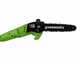 Greenworks GD40PSHK2 - Pruner/Hedge Trimmer with Extension Pole - 2 x 2Ah 40V