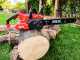 Skil 0581 CA - 40V 2Ah Battery-powered Electric Chainsaw - 35 cm Blade 