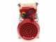 Rover Novax 30-M Electric Transfer Pump in Antioxidant Alloy - Electric Pump