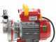 Rover Novax 30-M Electric Transfer Pump in Antioxidant Alloy - Electric Pump
