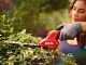 Skil 0630 CA - Battery-powered grass shear - Hedge trimmer - BATTERY AND BATTERY CHARGER NOT INCLUDED