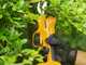 Stiga SC 100e Kit - Electric pruning shear - 20V/2Ah - 30mm Cutting diameter