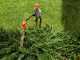 Skil 0640 CA - Battery-powered hedge trimmer on extension pole - BATTERY AND BATTERY CHARGER NOT INCLUDED